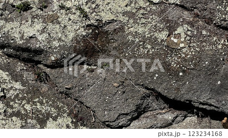 数百万年前の地層、地層の風景素材、岩肌の背景素材、半化石の表出する岩肌の風景 123234168