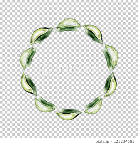 Watercolor wreath made of freshly cut aloe vera leaves Watercolor wreath made of freshly cut aloe vera leaves 123234583