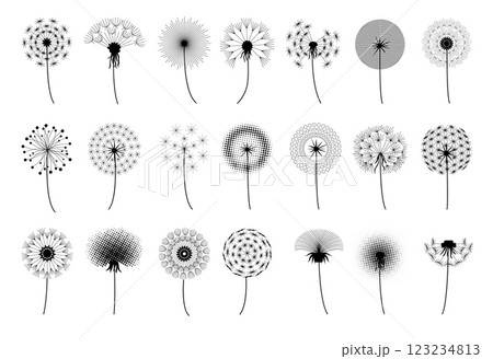 Dandelion silhouette. Nature flower seed. Flying delicate blossom or blowing black art design. Garden stem. Meadow botany. Summer blooming. Taraxacum plant. Vector floral elements set 123234813