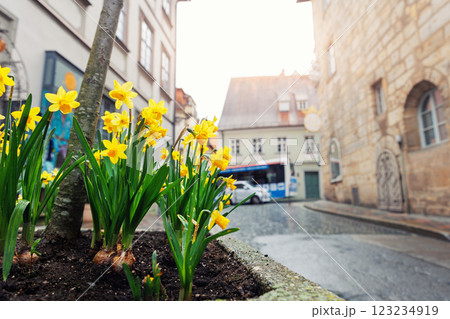 Flowerbed yellow daffodil Narcissus Bamberg old city street ancient building house medieval facade design. Bayer traditional German architecture urban cityscape European landmark sunny day rain Flowerbed yellow daffodil Narcissus Bamberg old city street ancient building house medieval facade design. Bayer traditional German architecture urban cityscape European landmark sunny day rain 123234919