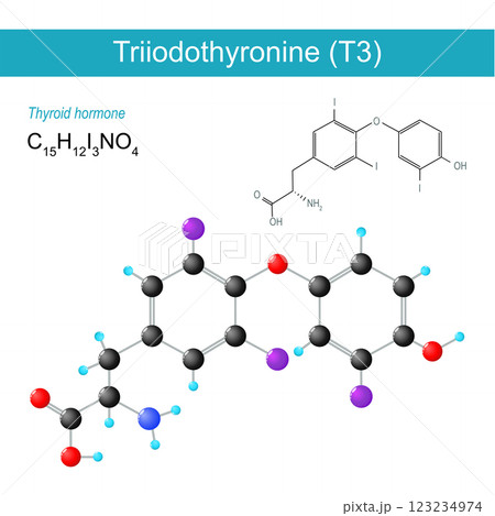 Triiodothyronine T3 molecule Triiodothyronine T3 molecule 123234974