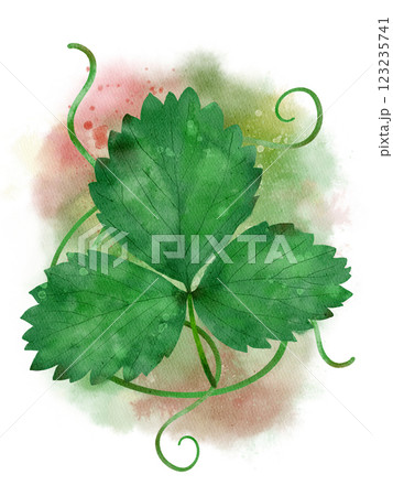 Watercolor illustration depicting a clover against an aesthetically pleasing and artistic backdrop 123235741