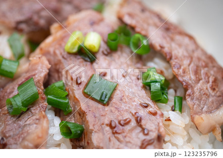焼肉丼のイメージ　(写真素材) 123235796