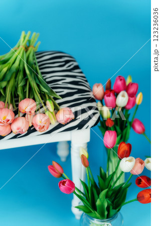 colored tulips on a blue background. bouquet of tulip buds on a chair colored tulips on a blue background. bouquet of tulip buds on a chair 123236036