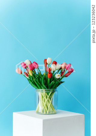 colored tulips with white stand on blue background. bouquet of tulip buds in glass vase on colored 123236042