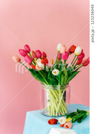 colored tulips on a pink background. bouquet of tulip buds in a glass vase on a colored background 123236049