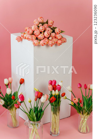 colored tulips with white stand on pink background. bouquet of tulip buds in glass vase on colored 123236090