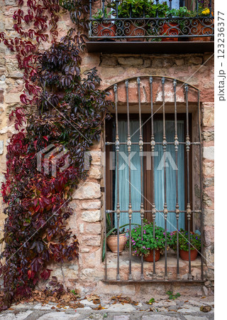 climbing lush foliage over old window at ancient building climbing lush foliage over old window at ancient building 123236377