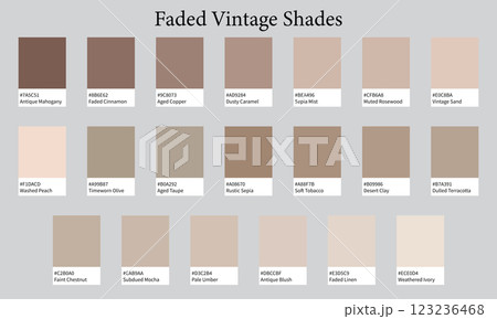 Color Palette 20 Shades of Faded Vintage Brown - Soft, Timeworn, Pastel Colors - with HEX Codes and Names, Colour Swatches and Combinations 123236468