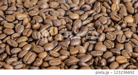 Roasted coffee beans as a background macro photo web size. Roasted coffee beans as a background macro photo web size. 123236692