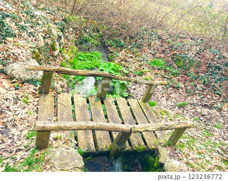 wooden bridge over a river in the forest 123236772