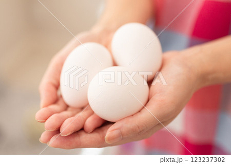 生卵を抱える女性のイメージ (写真素材) 生卵を抱える女性のイメージ (写真素材) 123237302