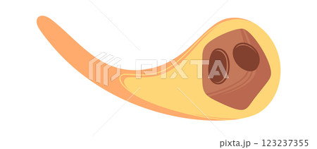 Meteor cosmic space body falling 123237355