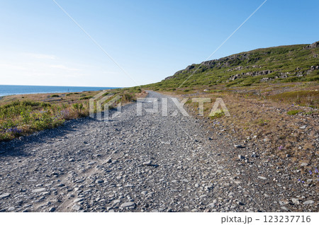 Gravel road along the seashore in tundra 123237716
