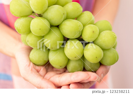 マスカットのイメージ (写真素材) マスカットのイメージ (写真素材) 123238211