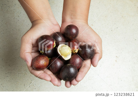 Top view of a man's hand carrying Matoa fruit (Pometia pinnata) typical of Papua, Indonesia, with a terrazzo granite background Top view of a man's hand carrying Matoa fruit (Pometia pinnata) typical of Papua, Indonesia, with a terrazzo granite background 123238621