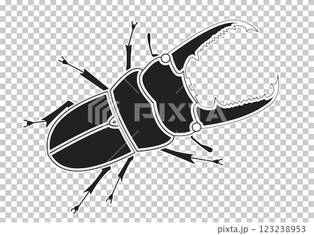 ヒラタクワガタ　Stag beetle 123238953