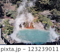 大分県別府地獄めぐり 123239011