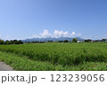 群馬県高崎市 123239056