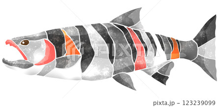 食用魚シャケのカラフルモザイク画風切り絵イラスト 123239099