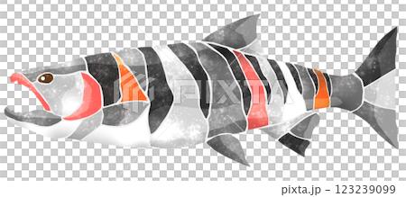 食用魚シャケのカラフルモザイク画風切り絵イラスト 123239099