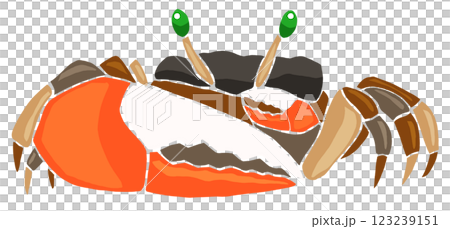 A lovely stained glass style cut-out illustration of a crustacean, a fiddler crab, without joints A lovely stained glass style cut-out illustration of a crustacean, a fiddler crab, without joints 123239151