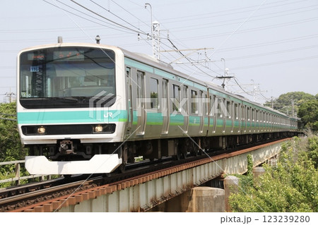 JR成田線を行くE231系0番台 123239280