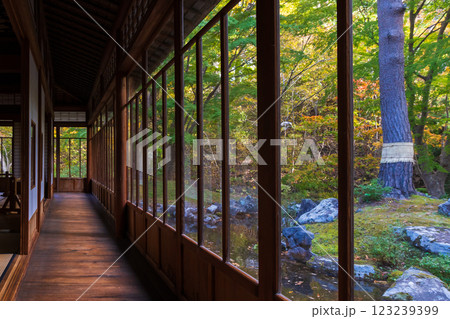 秋の北海道　函館市　旧岩船氏庭園（香雪園）　園亭 123239399