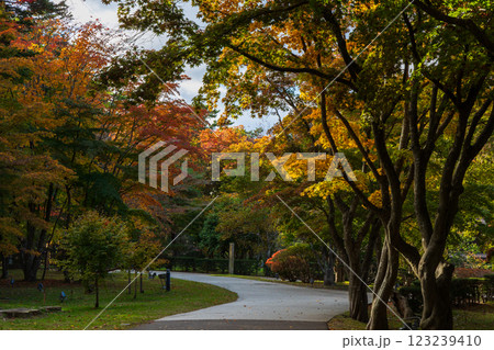 秋の北海道　函館市　旧岩船氏庭園（香雪園） 123239410