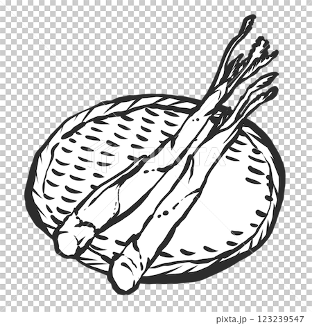 ウドの手描き筆絵風イラスト 123239547