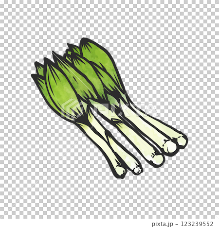 Urui's hand-drawn brush-style illustrations 123239552