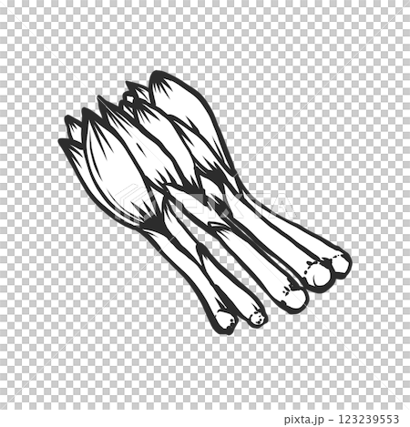 Urui 的手繪畫筆風格插圖 Urui 的手繪畫筆風格插圖 123239553