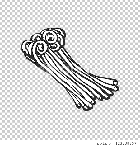 ぜんまいの手描き筆絵風イラスト 123239557