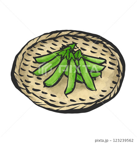 スナップエンドウの手描き筆絵風イラスト 123239562