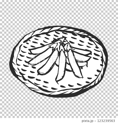 豌豆的手繪插圖 123239563