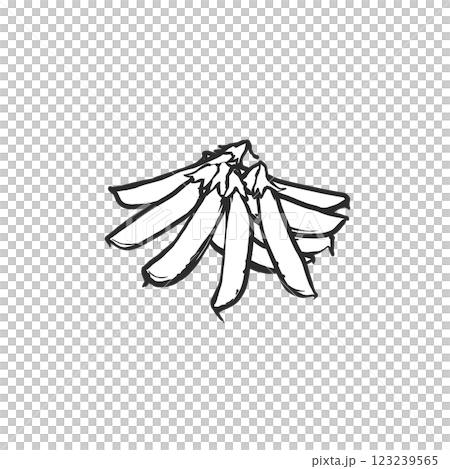 スナップエンドウの手描き筆絵風イラスト 123239565