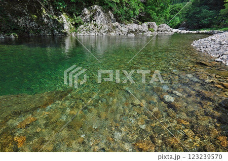 透明度の高い清流(表匹見峡:益田市) 透明度の高い清流(表匹見峡:益田市) 123239570