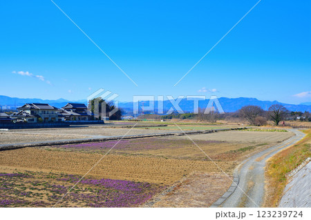 風光明媚　秩父方面山並　深谷市　六堰頭首工付近からの眺め　 123239724