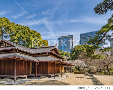早春の皇居東御苑　白梅の咲く諏訪の茶屋から大手町方面を望む 123239733