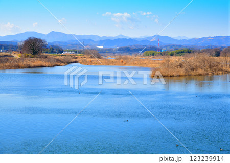 風光明媚　荒川本流の風景 　秩父方面山並　深谷市　六堰頭首工付近　 123239914
