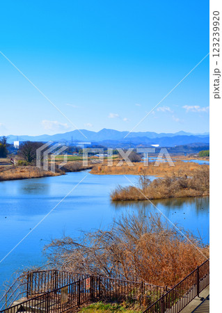風光明媚　荒川本流の風景 　秩父方面山並　深谷市　六堰頭首工付近　 123239920