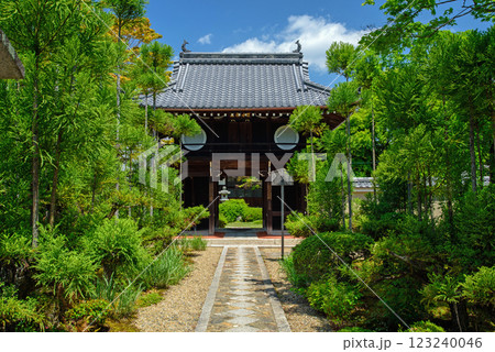 新緑に包まれた源光庵の山門 新緑に包まれた源光庵の山門 123240046