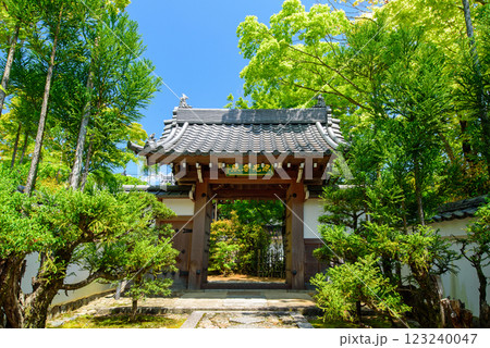 新緑に包まれる曹洞宗の寺院　源光庵 123240047