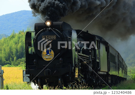 SLやまぐち号　D51   5314 123240486