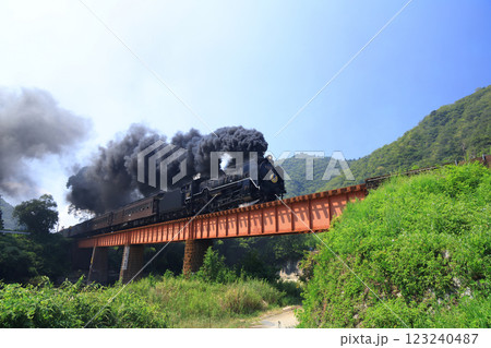 SLやまぐち号　D51   5339 123240487