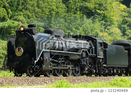 SLやまぐち号　D51　5439 123240489