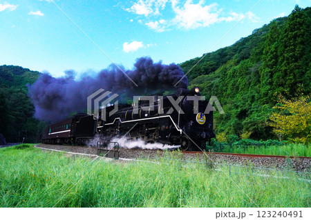 SLやまぐち号 D51 1816 SLやまぐち号 D51 1816 123240491