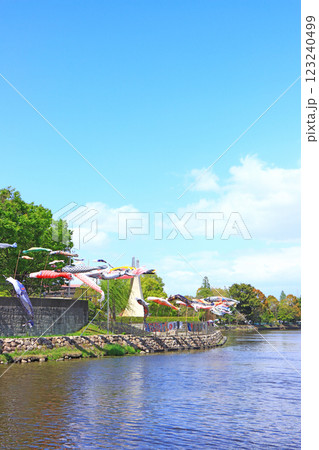 愛知県蟹江町、佐屋川創郷公園とこいのぼりの風景 愛知県蟹江町、佐屋川創郷公園とこいのぼりの風景 123240499