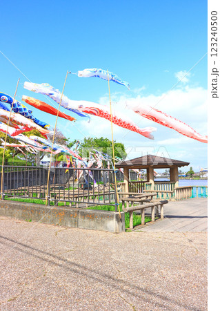 愛知県蟹江町、佐屋川創郷公園とこいのぼりの風景 123240500