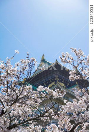 桜に包まれた大阪城天守閣 桜に包まれた大阪城天守閣 123240551